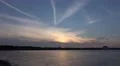 4k Lonesome bird flying after sunset at beach Timmendorfer Strand 4k or 4k+ Resolution