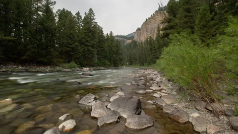 4K long exposure, time lapse backdrop of the Gallatin River in Montana in summer 스톡 동영상 213045982
