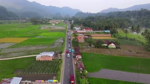 [4K] Long road with a beautiful view of rice terrace, drone video Stock Footage 208302176
