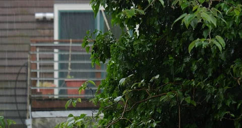 4K LONG TIGHT SHOT OF TREE AND HOME BALCONY IN THE RAIN Stock Footage 131128504