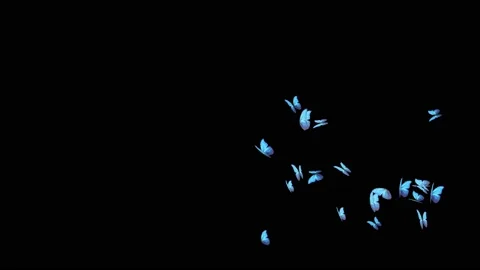 4K Loop Animation Background of Flying Butterfly on the blue screen. Stock Footage 178377305