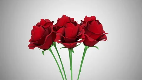 4K Loop Animation of Group Red Roses Rotation on gradient background Stock Footage 104494316