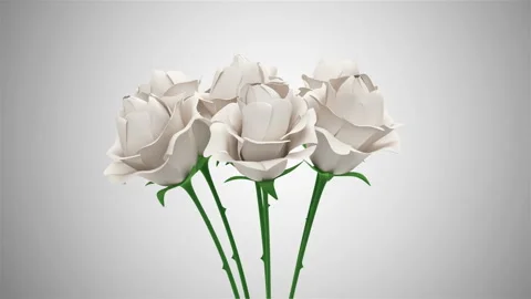 4K Loop Animation of Group White Roses Rotation on gradient background Vidéo 104493845