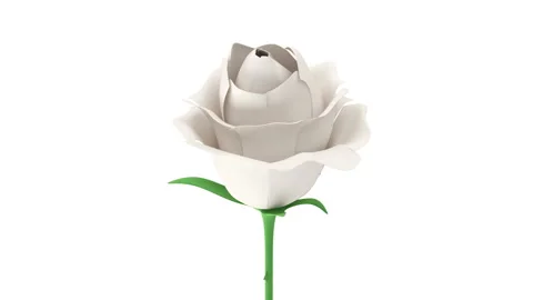4K Loop Animation of White Rose Rotation Stock Footage 104490402