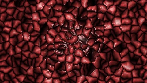 Maggots Animation Stock Videos – Royalty-Free HD & 4K Videos | Pond5