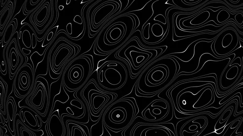 4K Looping Animation of Abstract Geographic Map Contours Stock Footage 316828836