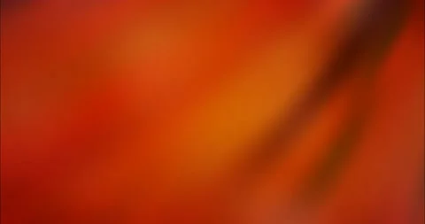 4K looping dark red, yellow video with blur materials. Stock Footage 153783811