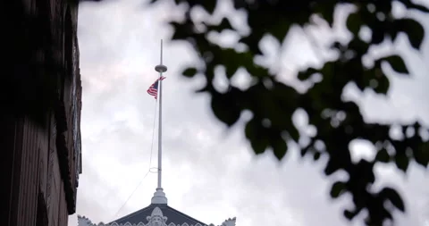 4K LOW ANGLE OF AMERICAN FLAG WAVING BEHIND TREE LEAVES Stock Footage 131461312