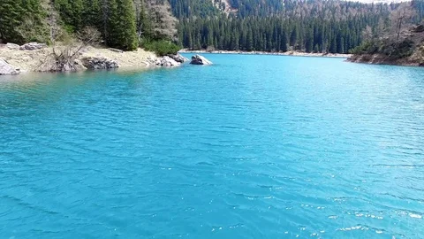 4k low drone aerial flight over turquoise mountain lake with fir tree wood and Video stock 80456699