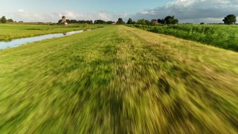 4K Low Drone Flyover Grass Field Near Ground Netherlands Summer Видео 317401817