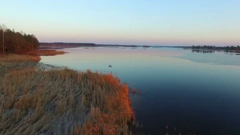 4K. Low flight and takeoff over wild lake with ducks in winter on sunset, aerial Video stock 82178113
