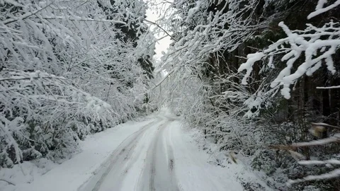 4K. Low flight over countryside road in winter forest. Aerial panoramic view. 動画素材 84247488