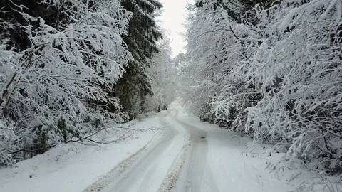 4K. Low flight over countryside road in winter forest between branches. Aerial. 動画素材 84247791