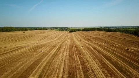 4K. Low flight over cultivated fields with haystacks after harvesting. Aerial. Video stock 79603911