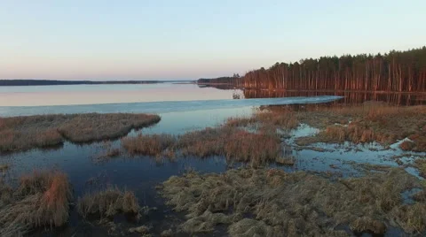 4K. Low flight over wild lake in early spring on sunset, aerial view. Vídeo Stock 61738341