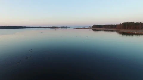 4K. Low flight over wild lake with ducks in early spring on sunset, aerial view. 스톡 동영상 61738534