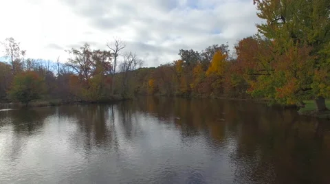 4K low fly-over flat river during fall colors, Michigan Stock Footage 56333432