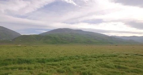 4k Low flying Over Green Field pulling back from California Mountains RAW Stock Footage 74114478