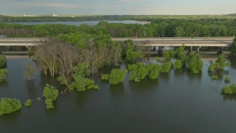 4K Low Side Scrolling Aerial View Of Submerged Trees In Fisher Lake Savage MN Stock Footage 278380549