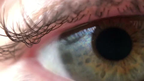 4k Macro Close Up Of Brown Eye Iris 60fps Rendered at 30fps 50% Slow Motion Stock Footage 143001907