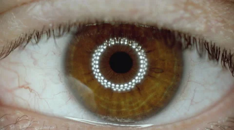 4K Macro extreme close up eye iris, pupil, contracting. Video stock 55684028