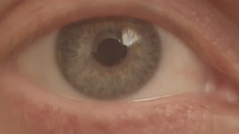 4K Macro. Grey eye of man looking at camera. Eye iris opening pupil. Eyesight Stock Footage 151414513