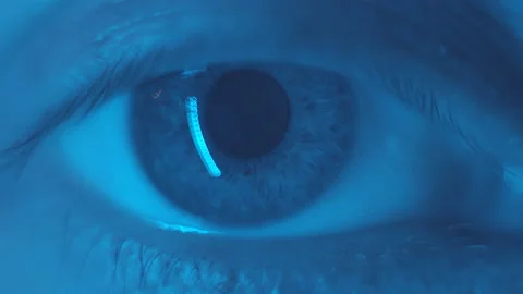 4k Macro grey eye opening, looking at camera and closing. Pupil iris. Blue light Stock Footage 151418144