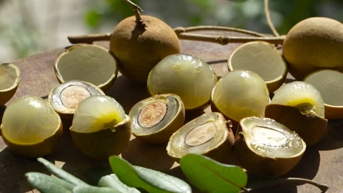 4K Macro: Halved Longan Fruit from Vietnam Revealing Translucent Flesh. Stock Footage 314951117