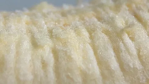 4K Macro Microscope Shot of Banana Peel Texture and Fiber Stock Footage 334204700