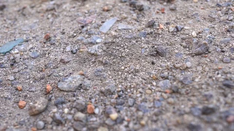 4k Macro Mixed Ground Of The Earth Stock Footage 89495135