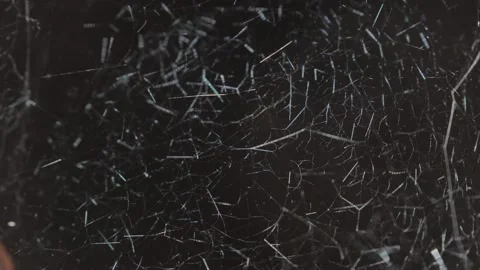 4K Macro Video of a Spider's Web Swinging in the Wind on Black Background 库存影片 281850565