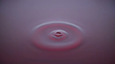 4K Macro water drop in slow motion - ruby red (PhotoJPG) Stock Footage 54783158