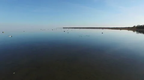 4K. Magic flight with birds over the sea at sunset above stones in the water. 動画素材 63113133