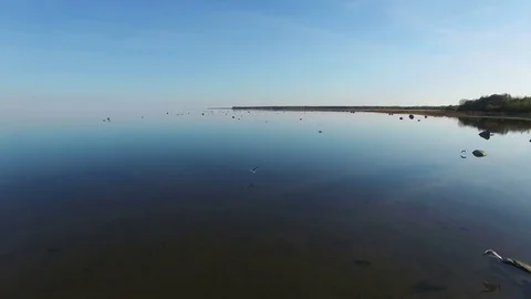 4K. Magic flight with birds over the sea at sunset above stones in the water. Stock Footage 72183849