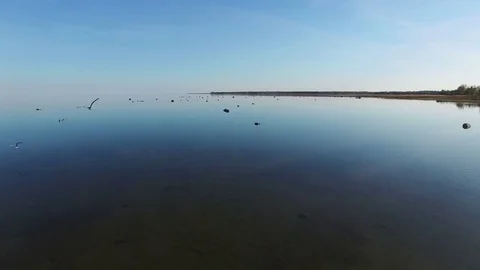 4K. Magic flight with birds over the sea at sunset above stones in the water. Video stock 72184003