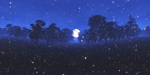 4K Magic Forest and Fullmoon VR360 Vidéo 93993986
