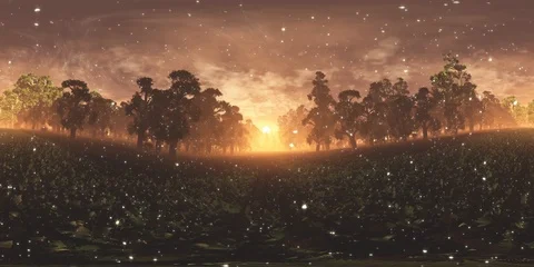 4K Magic Forest Sunset VR360 Stock Footage 93993992