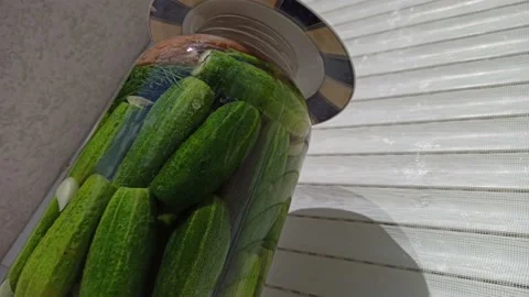 4K Making Fermented Cucumber Healthy Organic Vegetable Food 1 Stock Footage 142456281