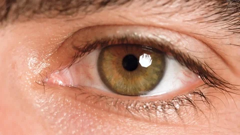 4K Male Eye Blinking Hazel Macro Stock Footage 101202649