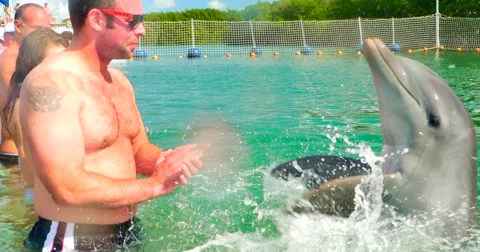 4K Man and Trained Dolphin Play in Water Park Zoo Aquarium Stock Footage 46833460