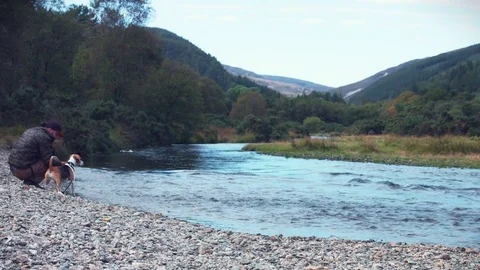 4k Man with Dog in Wicklow Mountains, Ireland Stock-Footage 80358315