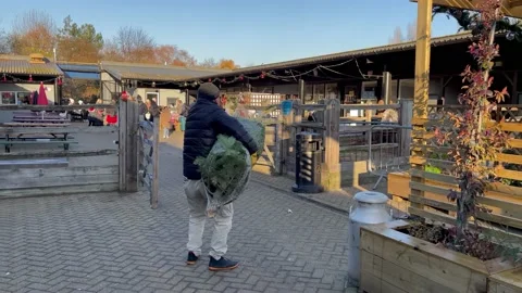4K man having problems carrying christmas tree Stock Footage 225087626