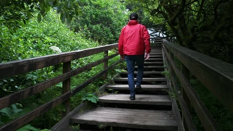 4K Man in Red Jacket Climbs Epic Staircase in Dense Pacific Northwest Forest Stock-Footage 109141146