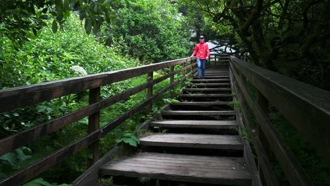 4K Man in Red Jacket Climbs Down Epic Wooden Staircase in Pacific Northwest Stock Footage 109141460