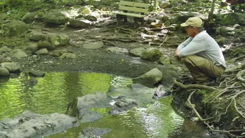 4K Man rests by idyllic forest stream surreal trees reflected in water Stock Footage 135438706