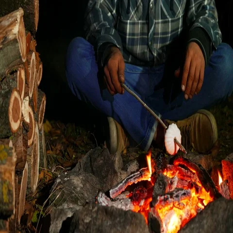 4k . man  roasting marshmallows at camp fire Stockbeeldmateriaal 69699810