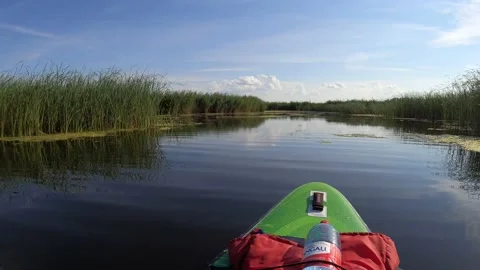4K man talking to camera while on a SUP paddleboard and going through a swamp Vidéo 157106807