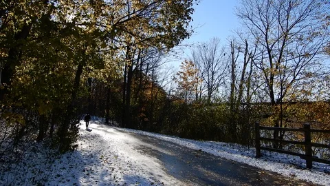 4K Man Walking Down Pathway With Sun Peering Through Branches Stock Footage 89198580