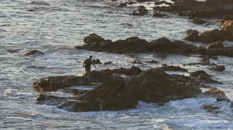 4K Man walking on rugged rocks by the beach while waves crash Stock Footage 40135467
