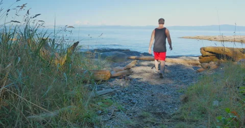 4K Man Walks Down Path onto Beach, Sits on Log Stock Footage 41731148